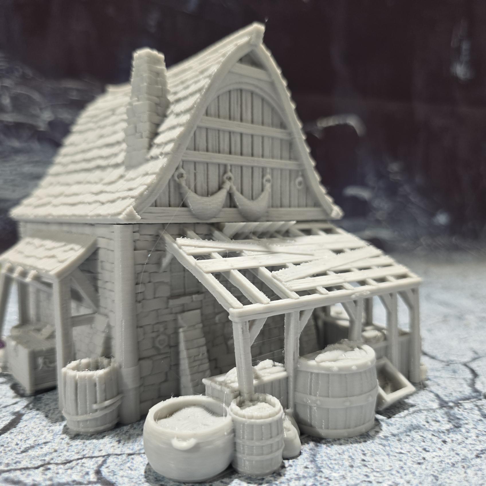 Ancrabourg Fishmonger's Workshop, Fish Market, Fishers house, Port Royal, Skirmish, D&D Terrain, Tabletop Terrain