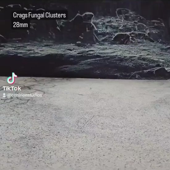 Fungal Clusters, Infected terrain, Shrooms, Mushroom Core Caverns