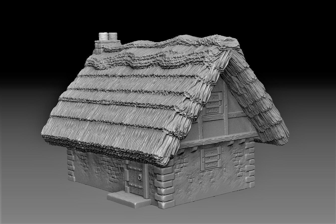 Midievil Thatched House - Dark realms - Midievil 28mm scale - Warhammer - Dungeons and Dragons - 28mm Terrain - warhammer terrain